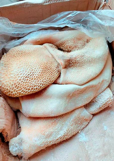 Beef Tripes with Honeycomb